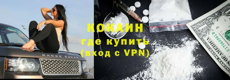 где купить   Короча  Cocaine 99% 